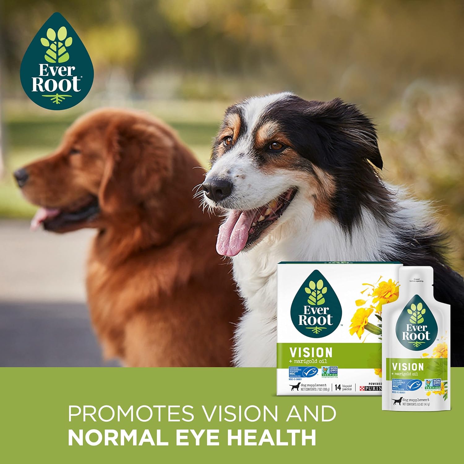 Purina Bundle Pack Senior Dog Food and Eye Care Dog Supplements, ONE +Plus Vibrant Maturity with Everroot